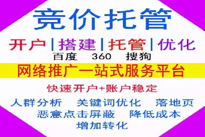 某电商平台的SEM推广实践与效果展示